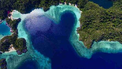 Sering Disebut Kembaran Raja Ampat Versi Sunyi, Pulau Labengki Jadi Surga Tropis Tersembunyi di Sultra!