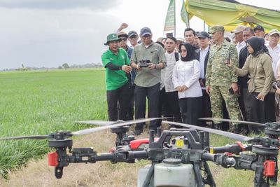 Gubernur Lampung Dorong Modernisasi Pertanian di Mesuji, Produksi Gabah Naik 40 Persen