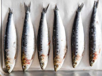 7 Manfaat Ikan Sarden untuk Kesehatan yang Sering Diabaikan