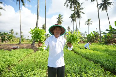 Mengubah Cangkul Menjadi Harapan: Kisah Inspiratif Edi Berawal Menggarap Lahan Orang hingga Miliki Tanah Sendiri Berkat KUR BRI