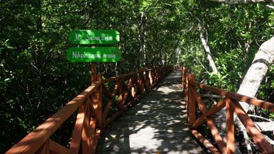 Taman Agrowisata Ursaguli, Destinasi Ekowisata Asri di Kepulauan Aru