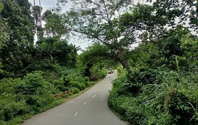 Fakta Menarik Jalan Trans Nabire, Jalur Penghubung Penting di Papua Tengah