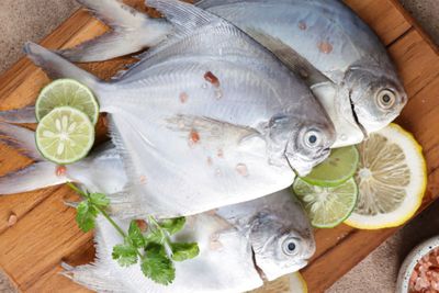 7 Manfaat Ikan Bawal untuk Kesehatan Tubuh, Kaya Gizi