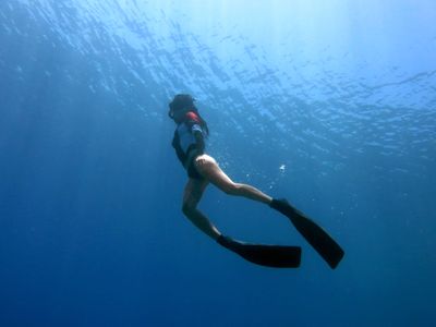 Banyak Yang Keliru, Ini Perbedaan Scuba Diving Dan Freediving Yang Wajib Diketahui Sebelum Menyelam