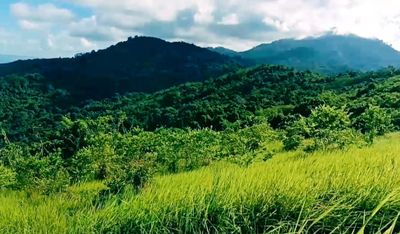 Pesona Bukit Mamake Kotabaru: Surga Paralayang dan Gardu Pandang Tertinggi di Pulau Laut