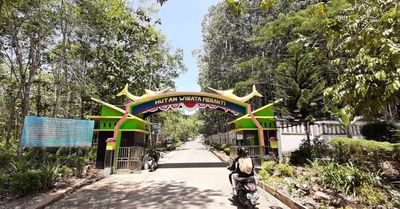 Ekowisata Hutan Meranti Kotabaru: Pesona Hijau di Atas Awan Pulau Laut