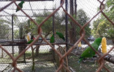 Taman Satwa Jhonlin Lestari: Wisata Edukasi & Konservasi Satwa Terbesar di Tanah Bumbu
