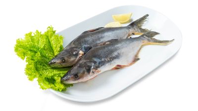 7 Manfaat Ikan Patin untuk Kesehatan Tubuh, Lezat, dan Bergizi