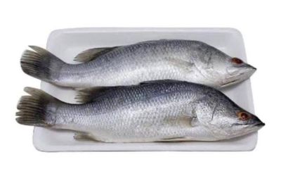 7 Ikan yang Boleh Dikonsumsi Penderita Gagal Ginjal, Apa Saja?
