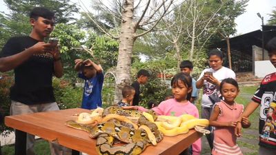 Komunitas Hewan di Banten Gelar Edukasi Reptil dan Satwa Hias Kepada Anak Saat Moment Libur Sekolah