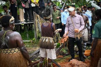 Wapres Dorong Hilirisasi Sagu Asmat Berbasis Budaya Lokal