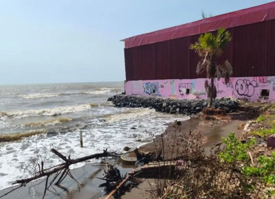 Pemkab Batang Benahi Dua Hektare Lahan Pantai Sigandu Terdampak Rob dengan Tanam Mangrove