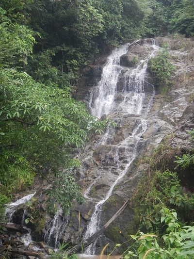 Pesona Air Terjun Bagandah: Surga Tersembunyi di Pinggir Jalan Pegunungan Meratus