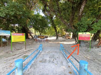 Kejadian Pertama Kali: Pegawai Koperasi TNUK Tewas Diterkam Buaya di Pulau Peucang