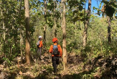 Tersesat Saat Menuju Rumah Anak, Lansia 81 Tahun di Gunungkidul ditemukan Meninggal di Hutan