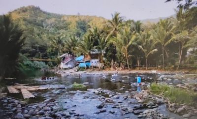 Menjelajah Taman Wisata Alam Loksado: Surga Petualangan Sungai dan Budaya Dayak di Pegunungan Meratus