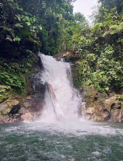 Pesona Air Terjun Tumaung: Surga Tersembunyi di Pegunungan Meratus HST