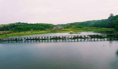 Pesona Danau Baruh Bahinu: Destinasi Wisata Rawa Ikonik di Balangan