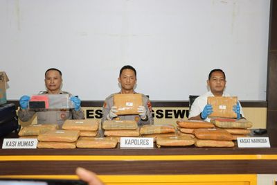 Kurir Ganja 24 Kg Dibekuk di Pringsewu, Polisi Ungkap Modus Pengiriman dari Sumut