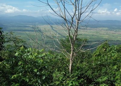 Pesona Gunung Keramaian Pelaihari: Destinasi Wisata Keluarga Favorit di Tanah Laut