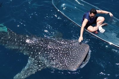 Tips Berkunjung ke Wisata Hiu Paus Botubarani Gorontalo
