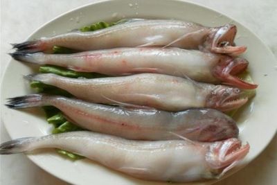 7 Manfaat Ikan Lomek untuk Kesehatan yang Sayang Dilewatkan