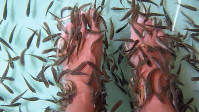 7 Manfaat Terapi Ikan untuk Kesehatan yang Perlu Diketahui