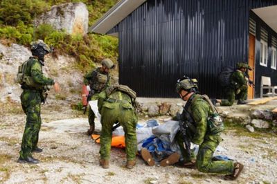 Polisi Ungkap Banyak Luka pada Jasad Pilot WNA AS dalam Insiden Pembakaran Pesawat di Papua