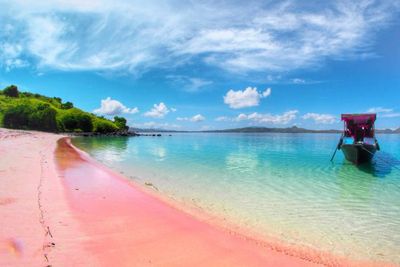 Daya Tarik Pantai Pink Wisata Bahari Unik dan Ikonik di Pulau Lombok NTB
