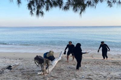Pencinta Alam Wajib Tahu! Ini Pantai Puru Kambera, Hidden Gem di Timur Sumba