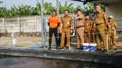Panen Udang Jadi Kebanggaan Masyarakat dan Pemerintah Mengingat Kebanyakan Daerah Jateng Berada di Pesisir