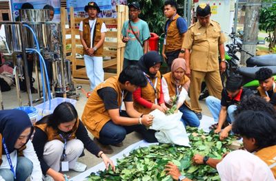 Daun Pala di Lampung Selatan Disulap Jadi Minyak Atsiri, Warga Dapat Peluang Usaha Baru