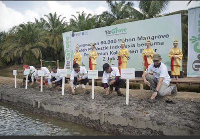 Pesona Wisata Pesisir Kabupaten Paser Makin Terjaga, 60 Ribu Mangrove Ditanam di Desa Modang