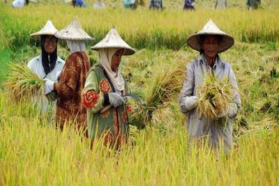 Ragam Mata Pencaharian Masyarakat Bali, Dari Nelayan, Petani hingga Industri Pariwisata