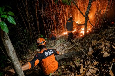 Kebakaran Hutan di Pasirian Lumajang Berhasil Dipadamkan, Tim Gabungan Kendalikan Api dalam Dua Jam