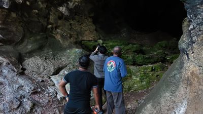 Rahasia Goa Batu Hapu: Surga Tersembunyi Kelelawar di Meratus UNESCO Global Geopark