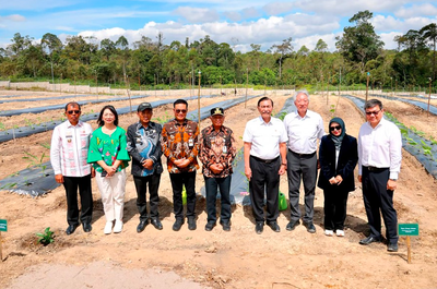 Pemprov Sumut Dorong TSTH2 Jadi Pusat Bioekonomi Tropis, Temasek Mulai Jajaki Kolaborasi