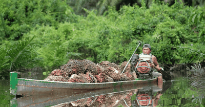 Mengenal Daftar Komoditas Unggulan Pendongkrak Ekonomi di Provinsi Riau