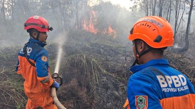 Strategi Cepat BPBD Kalsel Jinakkan Karhutla 2 Hektare di Banjarbaru, Amankan Permukiman Warga