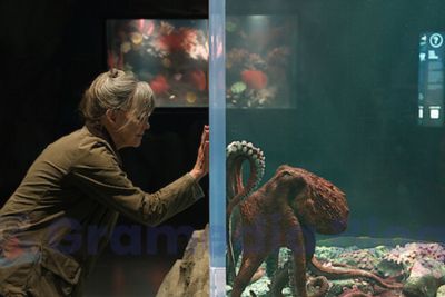 6 Film Netflix 2026 yang Kurang Viral, Padahal Seru Banget!