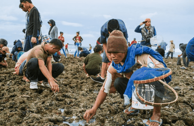 Menangkap Keberkahan Cacing Laut dalam Ritual Magis Bau Nyale di Lombok
