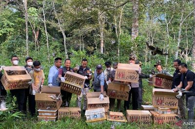 Usai Diselamatkan dari Upaya Penyelundupan di Bakaueheni, 977 Burung Sitaan kini Dilepasliarkan