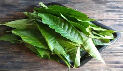 Mengenal Kopi Kawa Daun: Minuman Khas Asal Sumatera Barat