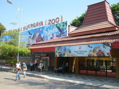 Rencana Liburan Keluarga? Cek Harga Tiket dan Wahana Kebun Binatang Surabaya Zoo