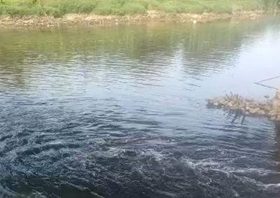 DLHK Banten Temukan Penyebab Air Sungai Cisadane Menjadi Hitam Akibat Industri