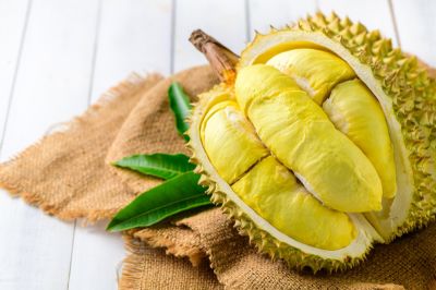 Pecinta Durian Wajib Tahu! Vietnam Bakal Gelar Festival Durian Terbesar pada Agustus 2026