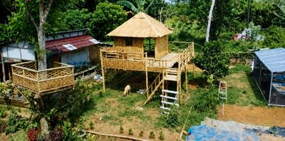 Wisata Agrowisata di Kabupaten Tangerang, Destinasi Edukasi Sekaligus Rekreasi Bernuansa Alam