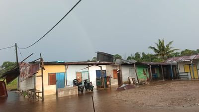 Cuaca Ekstrem Terjang Tarakan Utara, Rumah Warga Rusak dan Jalan Sempat Tertutup Pohon