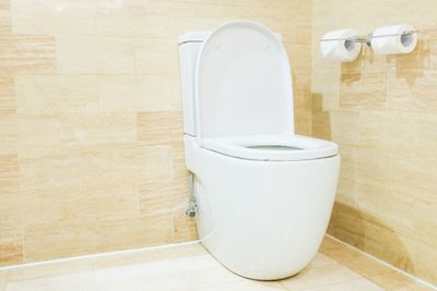 Lomba Minum Toilet di Rusia, Hadiahnya Rp20 Juta