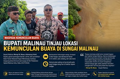 Respons Cepat Keluhan Warga, Bupati Malinau Tinjau Kemunculan Buaya di Sungai Malinau